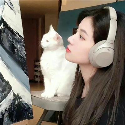 摇晃封面